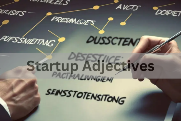 Startup Adjectives